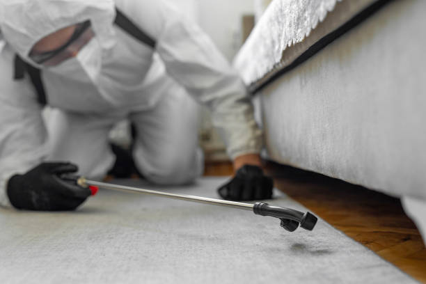 Professional Cockroach Control technician working in Polo, IL