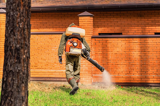 Trusted Ant Control service in Polo, IL - Nex Pest Control